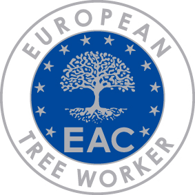 Examen European Treeworker – 30 oktober