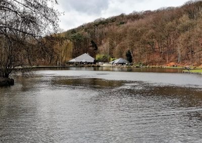 Belgisch Kampioenschap Boomklimmen 2019 Ottignies 10