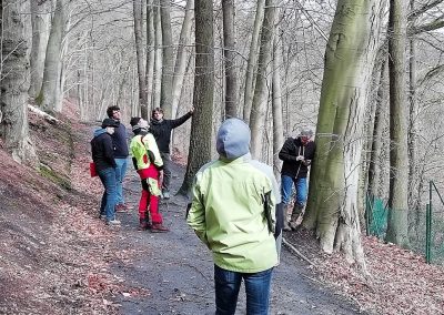 CHAMPIONNAT DE BELGIQUE DES ARBORISTES GRIMPEURS 2019 - Ottignies - 9